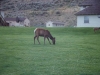 teton_0006