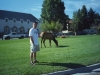 teton_0007