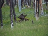 teton_0014