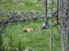 teton_0016