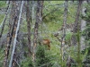 teton_0017