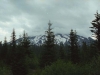 helens_0005