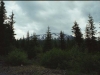 helens_0006